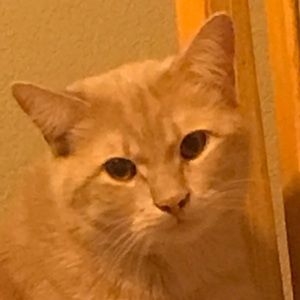 Meet your Posher, Edgar